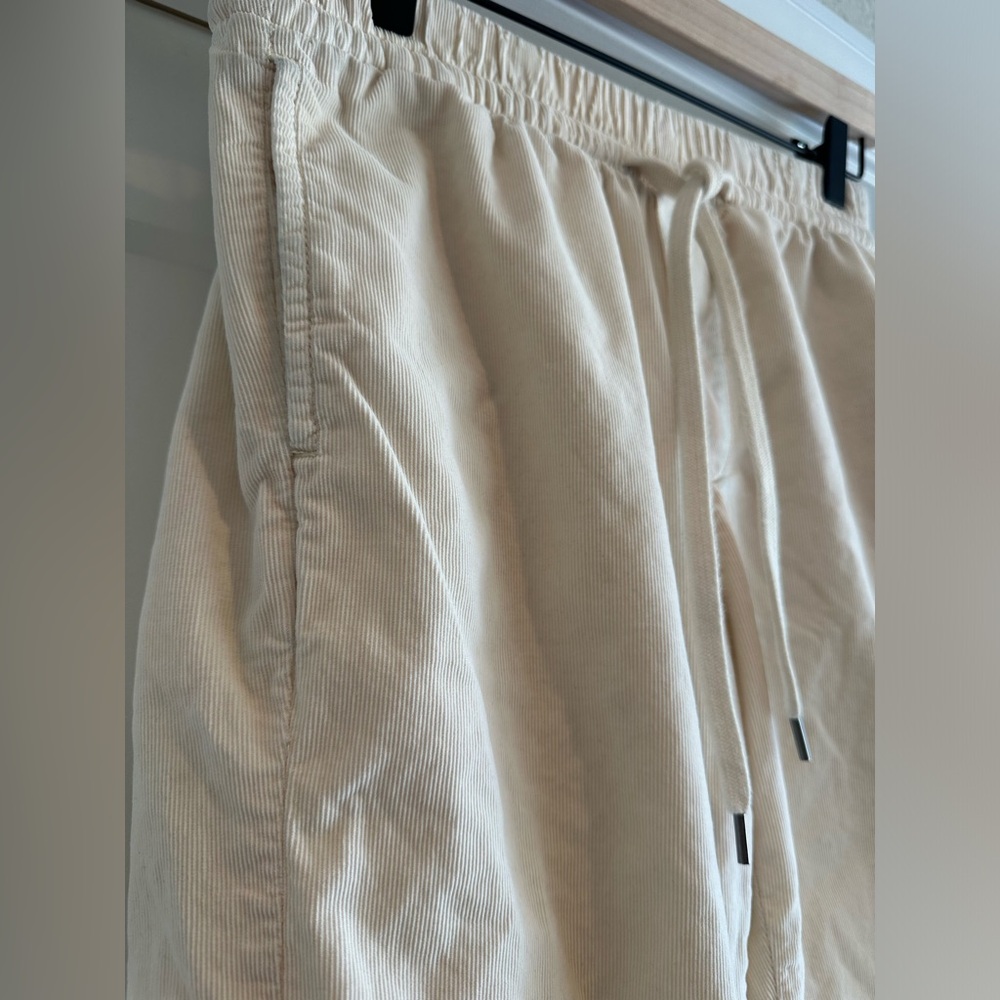 American Eagle Corduroy Joggers - Picture 5 of 8